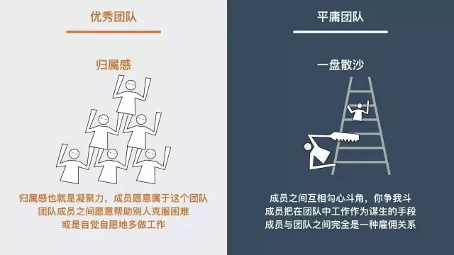 6.webp.jpg 6.webp.jpg